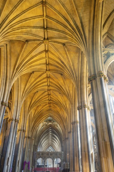 Vaulted roof ceiling inside Bristol cathedral church, Bristol, England, UK