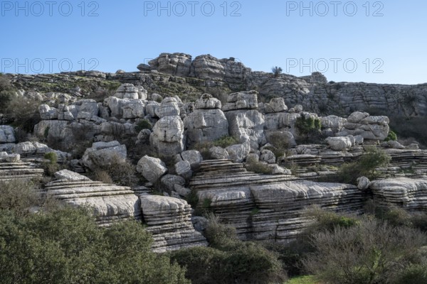 Bizarre limestone rock formations, El Torcal nature reserve, Torcal de Antequera, Malaga province, Andalusia, Spain, Europe