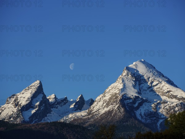 Snow-covered Watzmann, above it a crescent moon in a cloudless sky, Schönau am Königssee, Berchtesgadener Land, Upper Bavaria, Bavaria, Germany, Europe