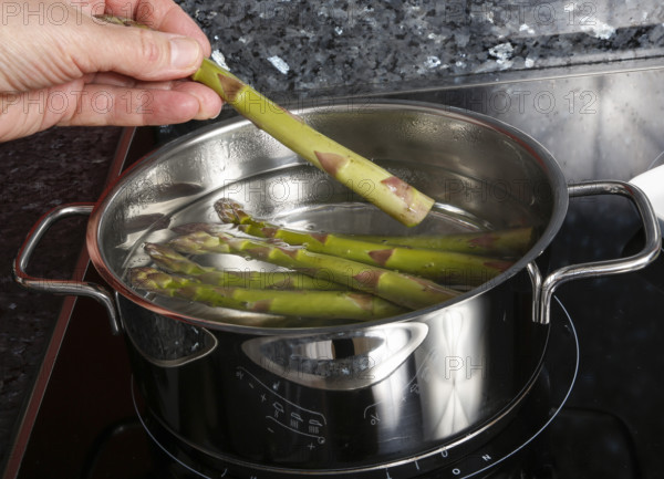 South German cuisine, vegetables, vegetarian, preparation of green asparagus with rhubarb vinaigrette and potato gratin, add raw asparagus to cooking water, saucepan, cooking sheet, induction cooker, ceramic hob, healthy, traditional cuisine reinterpreted, men's hands, food photography, studio, Germany, Europe