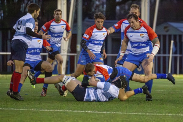 Rugby 1st Bundesliga South/West, season 2024/25, matchday 7 (catch-up match) : Heidelberger Ruderklub 1872 against Rugby Club Luxembourg