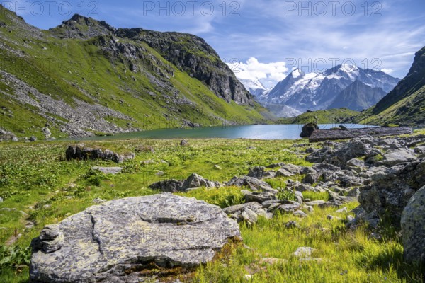 Mountain lake Lac de Louvie with glaciated summit of the Grand Combin, Val de Bagnes, Valais, Switzerland, Europe
