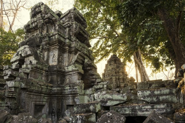Ta Prohm, Angkor Wat, Angkor, UNESCO World Heritage Site, Siem Reap, Cambodia, Indochina, Southeast Asia, Asia