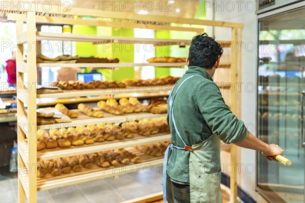 Rear view of a latin young man placing baked bread to shop using a peel