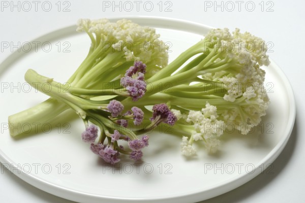 Fioretto, a cross between cauliflower and broccoli. The flowers are reminiscent of coral, vegetables