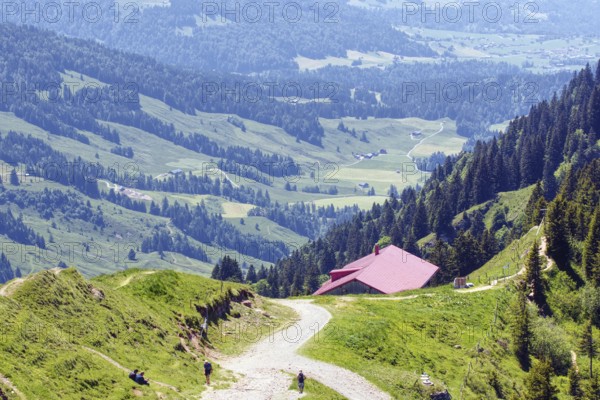 A path leads to the mountain hut, nestled in a green, wooded mountain landscape, Oberstaufen, Bavaria, Germany, Europe