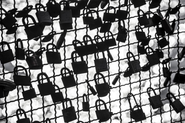 Padlocks, so-called love locks on a fence, vantage point in Wesel am Rhein, North Rhine-Westphalia, Germany, Europe