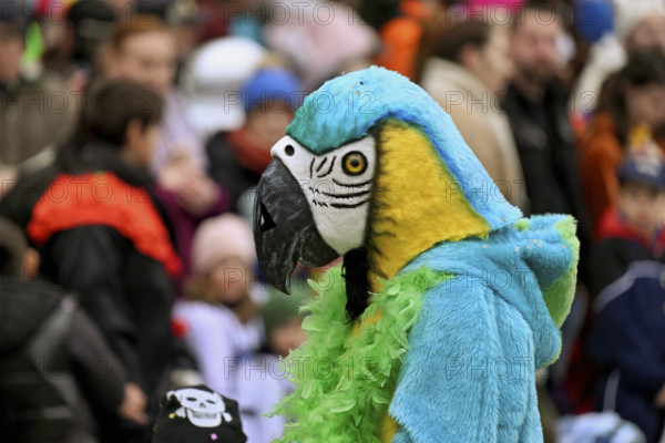Person masked as a parrot at the carnival parade of the Wey guild on Rose Monday, Güdismäntig, Lucerne Carnival 2024, Lucerne, Switzerland, Europe