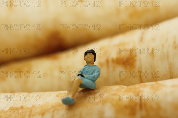 Miniature figure of a woman sitting on parsley root (Petroselinum crispum), root parsley, North Rhine-Westphalia, Germany, Europe