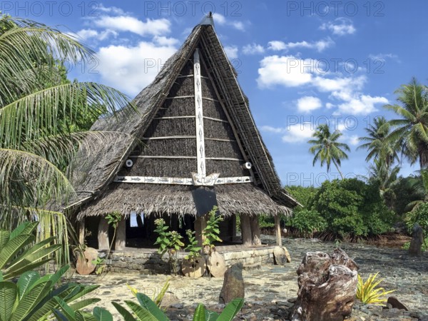 Traditional historical meeting house for men Tribal Chief Men Men's House between palm trees, in the background Pacific Ocean, Yap Island, Yap State, Caroline Islands, FSM, Federated States of Micronesia, Australia, Oceania