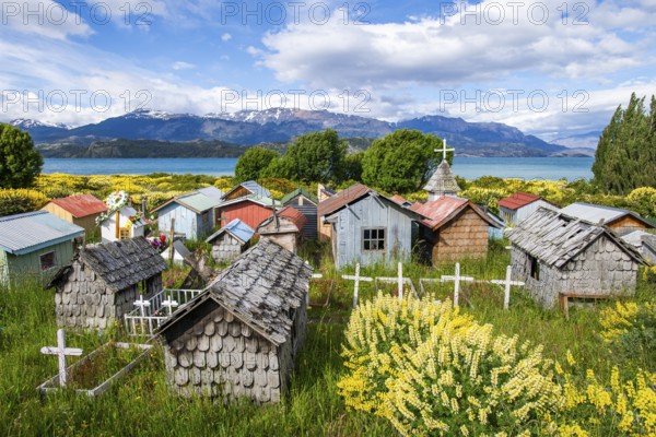 Colourful plastic flowers and graves with miniature houses made of corrugated iron and wooden shingles amidst yellow blooming lupines on the beach of Lago General Carrera, also known as Lago Chelenko, snow-capped mountains in the background, cemetery of Puerto Hyphessobrycon bifasciatus Tranquilo, Aysen region, Patagonia, Chile, South America