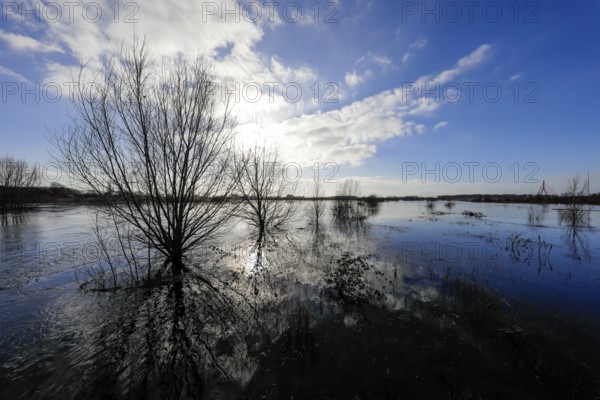 Lippe, flood in the renaturalised floodplain area at the mouth of the Lippe into the Rhine, Wesel, Lower Rhine, North Rhine-Westphalia, Germany, Europe