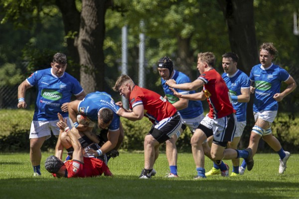Heidelberg, 25.05.2024, Rugby 1st Bundesliga, Season 2023/24, Quarter-final: SC Neuenheim against Germania List (82:0)