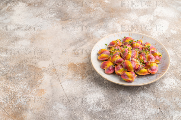Rainbow colored dumplings with pepper, herbs, microgreen on brown concrete background. Side view, copy space