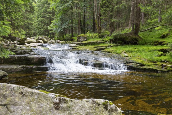 Mummelfall, Mummel waterfall near Harrachsdorf in the Giant Mountains, Czech Republic, Europe