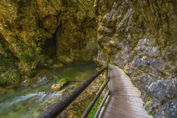 Scenic wooden walkway along radovna river in vintgar gorge near bled, a breathtaking natural wonder in slovenia