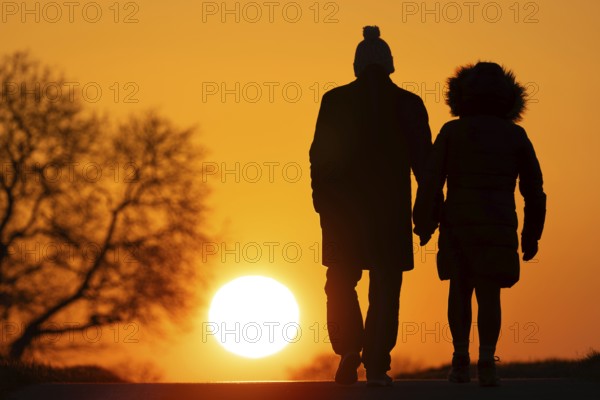 A couple walks along a country lane near Frankfurt am Main at sunset, Frankfurt am Main, Hesse, Germany, Europe