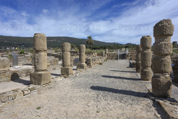 Street with column remains, Archaeological Museum Baelo Claudia, Cádiz, Spain, Europe