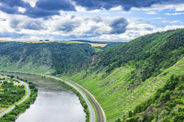 View over the Moselle and the Moselle valley near Winningen, Rhineland-Palatinate, Germany, Europe