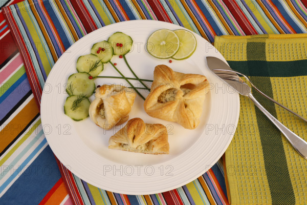 Southern German cuisine, trout cream in puff pastry, starter, fish dish, baked, from the oven, served on a plate, cucumber, lime slices, fish cutlery, traditional cuisine reinterpreted, food photography, studio, Germany, Europe