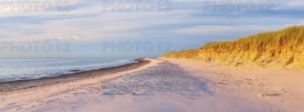 Sunny evening by the sea, unspoilt beach of the Baltic Sea with white sand at Darßer Ort in the evening light, National Park Vorpommersche Boddenlandschaft, Darß Peninsula, Mecklenburg-Western Pomerania, Germany, Europe