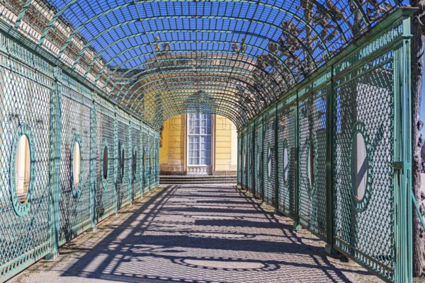 Sanssouci Palace in Sanssouci Palace Park in Potsdam, Germany, Europe