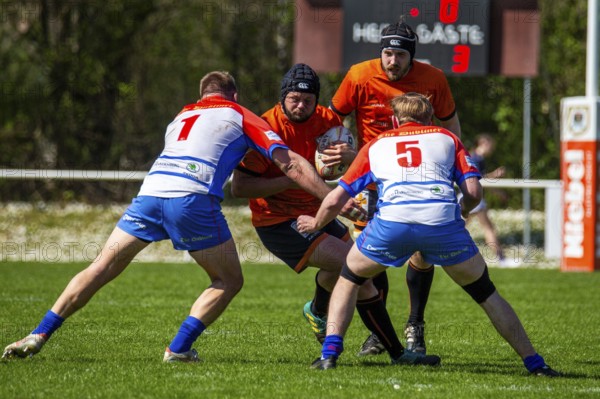 Rugby 1st Bundesliga South/West, Season 2024/25, Matchday 10: RG Heidelberg vs Heidelberger Ruderklub 1872