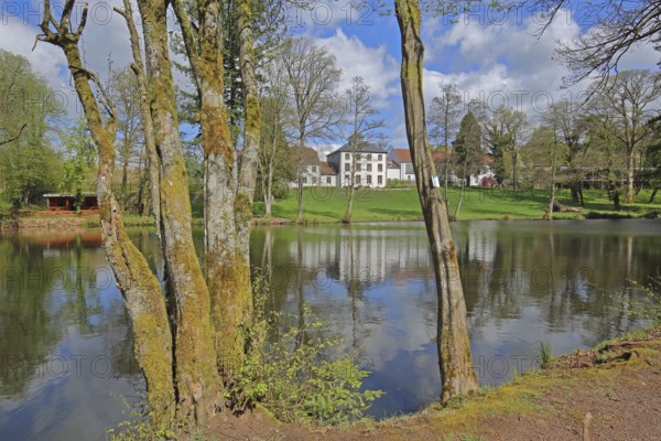 Pond with mossy tree trunks at Hofgut Imsbach, nature, moss, reflection, country inn, idyll, landscape, Theley, Tholey, Saarland, Germany, Europe