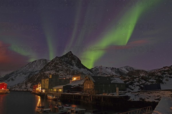 Night scene with northern lights in the sky, snow-covered mountains and houses by the water, winter, Nyksund, Langoya, Vesteralen, Nordland, Norway, Europe