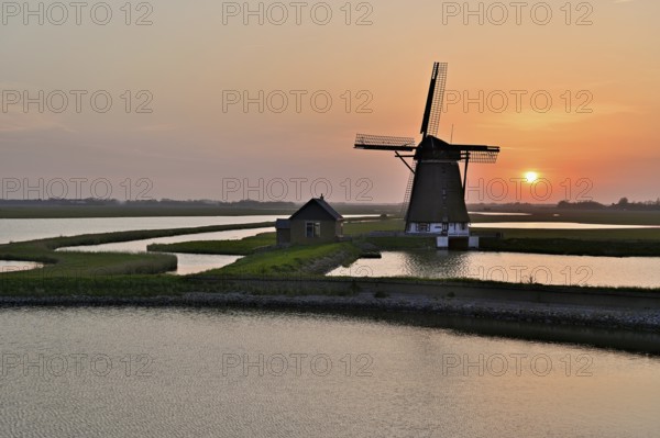 Historic windmill in the light of the setting sun, De Traanroeier, Het Noorden Molen, Texel, North Holland, Netherlands
