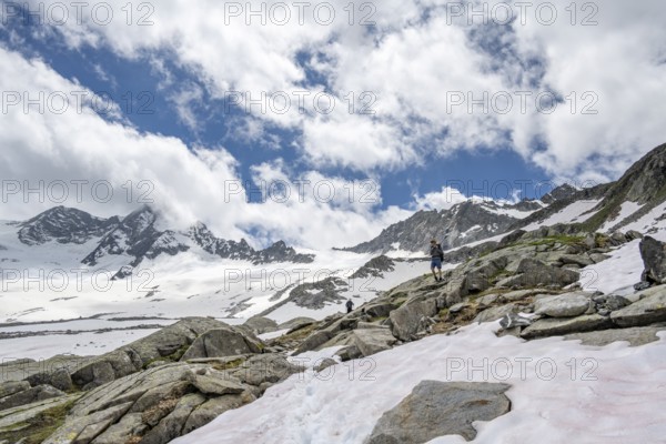 Mountaineer on a hiking trail between snow, descent from the summit of Schönbichler Horn, view of snow-covered and glaciated mountain landscape with summit Großer Möseler, Berliner Höhenweg, Zillertal Alps, Tyrol, Austria, Europe