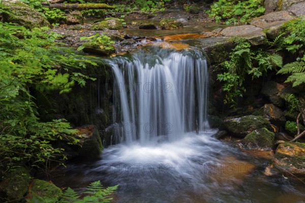 An impressive waterfall flows over rocks in a green forest, White Oppa, Bílá Opava, Bila Opava, near Karlova Studánka, Studanka, Bad Karlsbrunn, Moravskoslezský kraj, Czech Republic, Europe