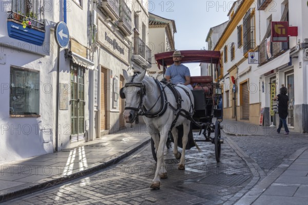 Horse-drawn carriage travelling on a cobblestone street along historic buildings on a sunny day, Cordoba
