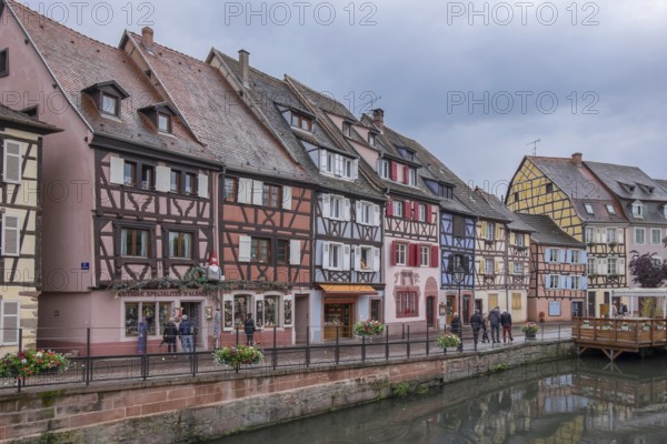 Petite Venise, Little Venice, half-timbered houses on the banks of the Lauch, old town of Colmar, Haut-Rhin department, Alsace, France, Europe
