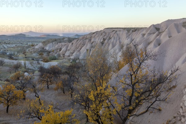 Twilight landscape with rocks and autumn trees in a hilly area, Cappadocia, Turkey, Asia