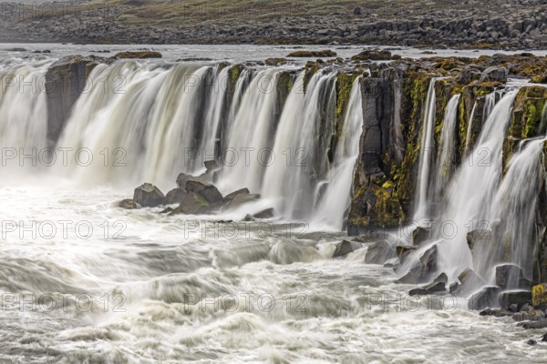 Waterfall at a river, cascades, spray, rapids, summer, foggy, Selfoss, North Iceland, Iceland, Europe