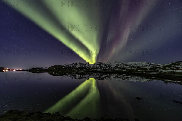 Yellow and green northern lights reflected in fjord, steep mountains, aurora borealis, winter, Moskenesoya, Lofoten, Norway, Europe