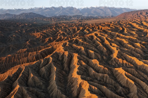 Landscape of eroded hills, badlands at sunset, mountain peaks of the Tian Shan Mountains in the background, aerial view, Canyon of the Forgotten Rivers, Issyk Kul, Kyrgyzstan, Asia