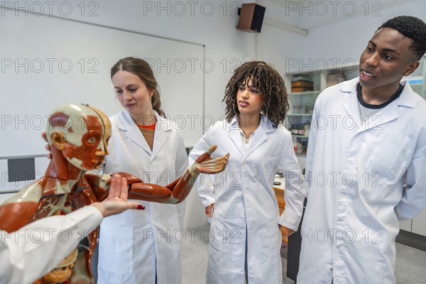 Group of medical students wearing lab coats learning human anatomy using an anatomical model in university classroom
