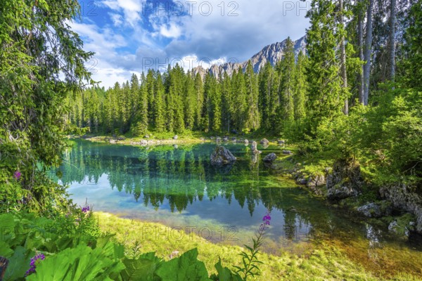 Emerald waters of lake carezza reflecting surrounding fir trees and latemar mountain range in italian dolomites on a bright summer day