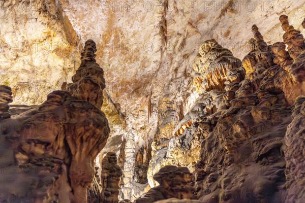 Breathtaking view of illuminated stalagmites and stalactites forming stunning geological structures inside the famous postojna cave in slovenia
