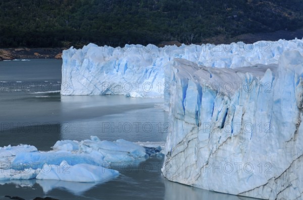 El Calafate, Patagonia, Argentina, Perito Moreno Glacier in Los Glaciares National Park. The Perito Moreno Glacier is part of the Patagonian ice field, the Campo Hielo Sur, the third largest freshwater reserve in the world. It is located in the province of Santa Cruz on Lago Argentino, the country's largest lake. The Perito Moreno Glacier is up to 30 kilometres long and 5 kilometres wide. Its edge is 70 metres high at its highest point. Small icebergs that have broken off from the glacier float in Lago Argentino. The glacier is one of the most beautiful sights in South America and is one of the most visited attractions in Argentina, South America