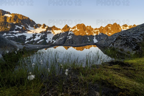Rocky mountain peaks with reflection, small pond with cotton grass in moor landscape at Trollfjord Hytta, mountain landscape with alpenglow at sunrise, at Trollfjord, Lofoten and Vesterålen, Nordland, Norway, Europe