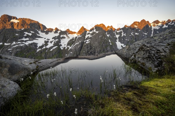 Rocky mountain peaks with snow, small pond with cotton grass in moor landscape at Trollfjord Hytta, mountain landscape with alpenglow at sunrise, at Trollfjord, Lofoten and Vesterålen, Nordland, Norway, Europe