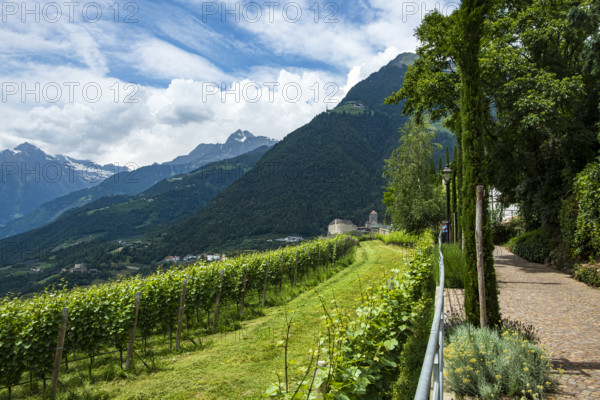 Tyrol Castle seen from Dorf Tyrol, medieval ancestral castle of the Counts of Tyrol and since 2003 home to the South Tyrolean Provincial Museum of Cultural and Regional History near Meran, Burggrafenamt, South Tyrol, Italy, Europe