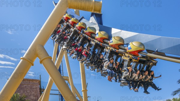 Park guests riding Montu roller coaster at Busch Gardens in Tampa, Florida, USA, North America