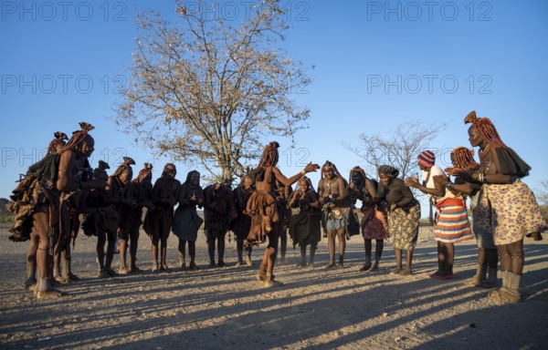 Group of traditional Himba woman standing in a semi-circle, clapping and dancing, music and dance, in the evening light, near Opuwo, Kaokoveld, Kunene, Namibia, Africa