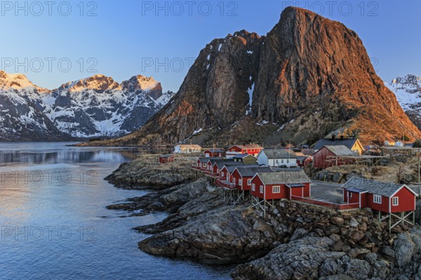 Typical Norwegian houses in fjord in front of steep mountains, morning light, winter, Reine, Moskenesoya, Lofoten, Norway, Europe
