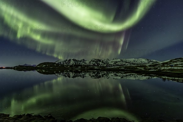 Yellow and green northern lights reflected in fjord, steep mountains, aurora borealis, winter, Moskenesoya, Lofoten, Norway, Europe