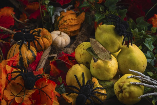 Halloween still life with quinces, pumpkins, spiders and autumn leaves